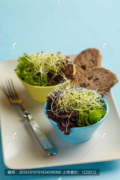 豆芽沙拉