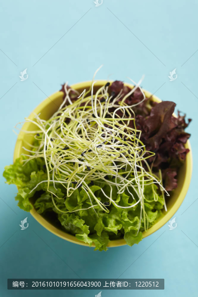 豆芽沙拉