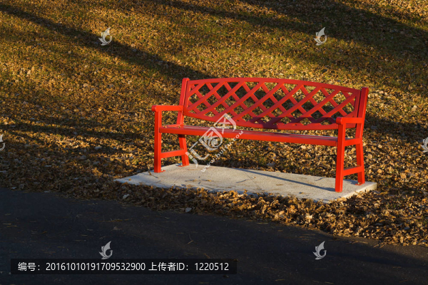 城市公園的長椅上