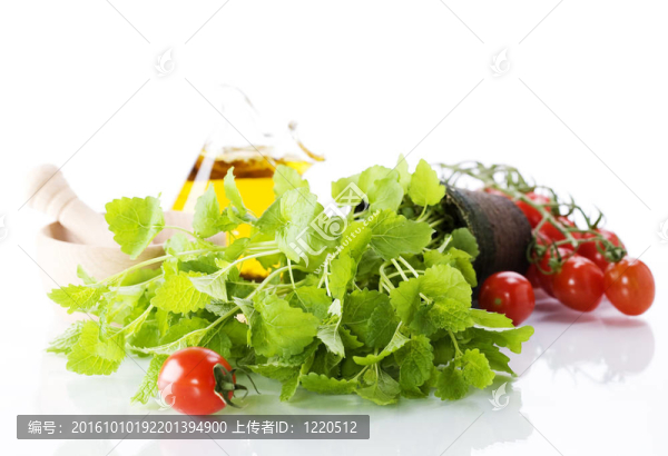 香草；蔬菜和橄欖油