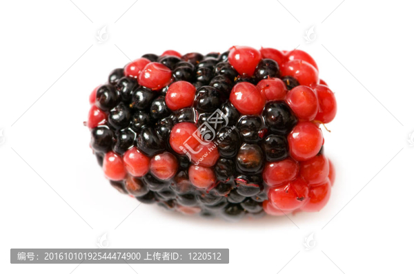 近距離的漿果孤立的白色