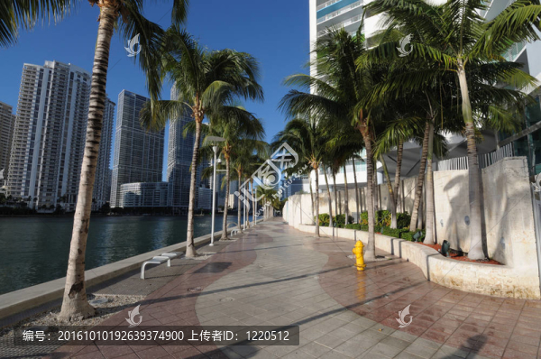 漫步在邁阿密市中心；佛羅里達(dá)州美國(guó)
