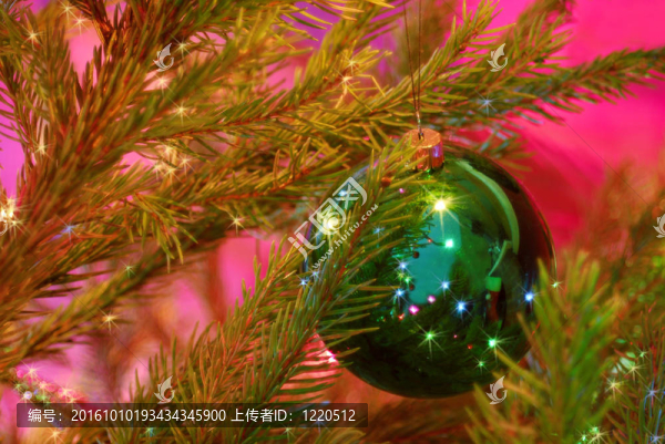 圣誕樹(shù)