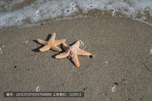 躺在Beach