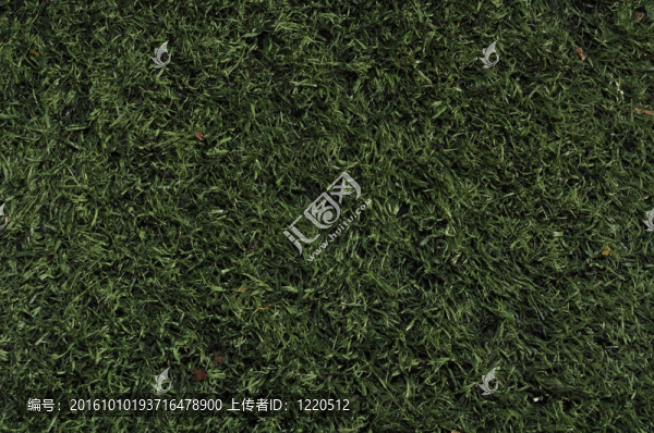 運(yùn)動(dòng)場(chǎng)用假草