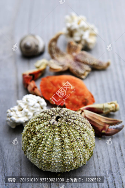 海珍品