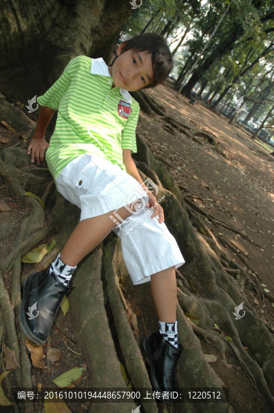 小男孩坐在樹旁