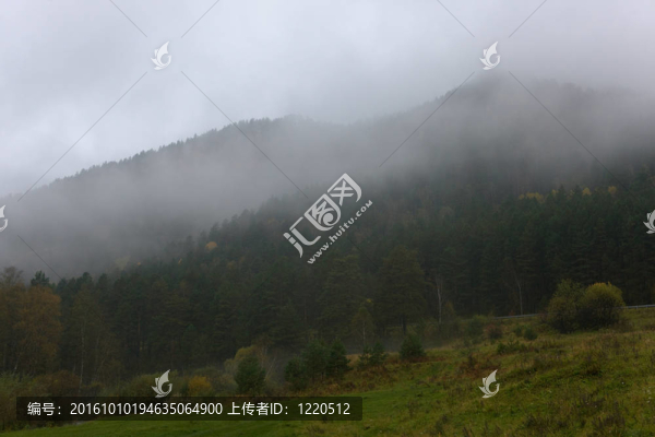 早晨的霧