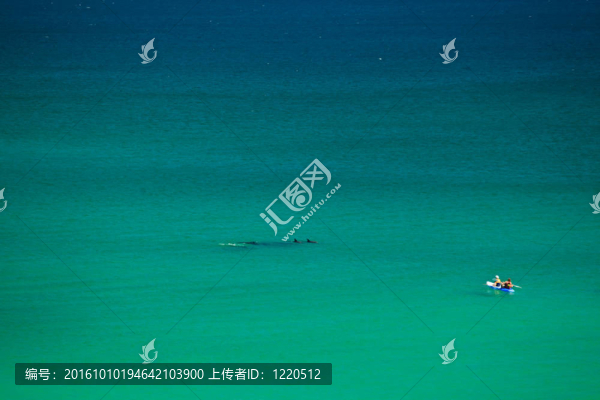 在拜倫灣澳大利亞的沖浪者