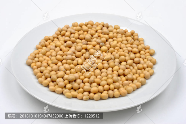 有機(jī)大豆代替肉類是不錯的選擇