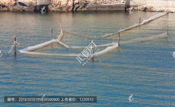 漁網(wǎng)