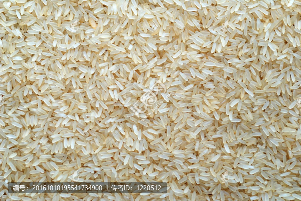 Rice的背景