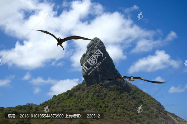 Fernando,de,Noronha,-巴西