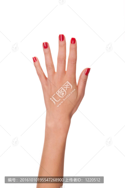女人的手。