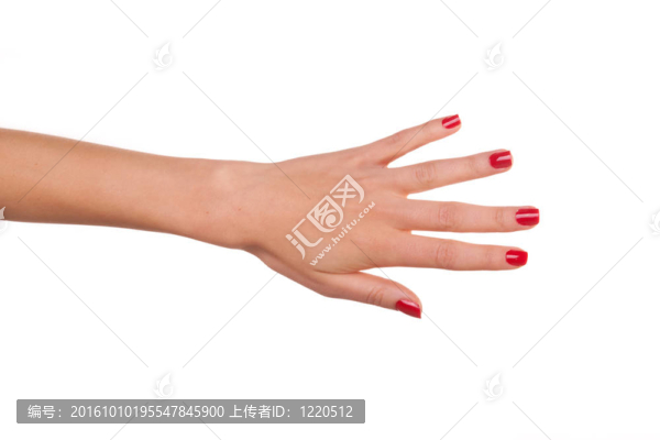 女人的手。
