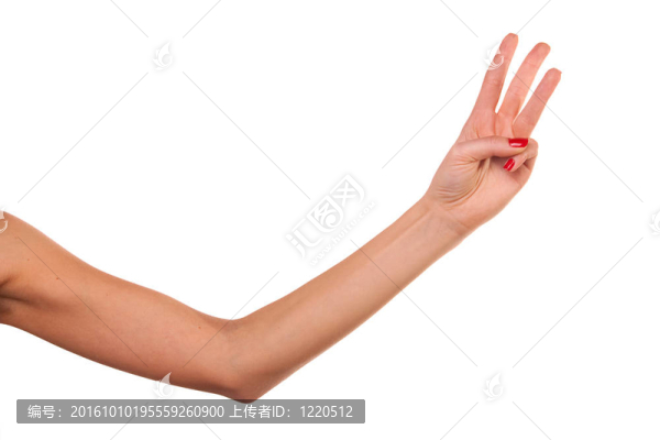 女人的手。