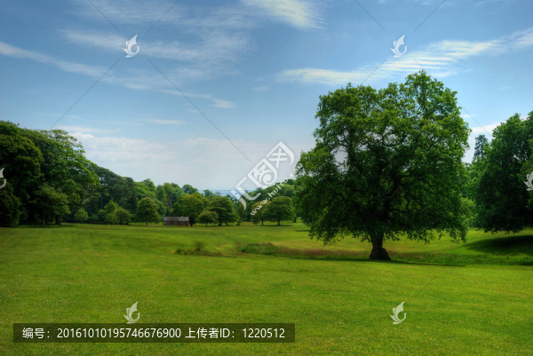 一個明亮的夏天