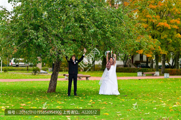 在秋天的公園對新婚夫婦