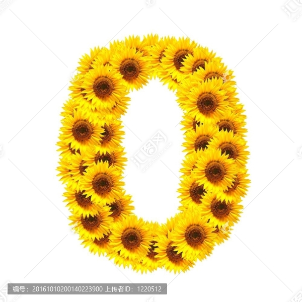 字母的花