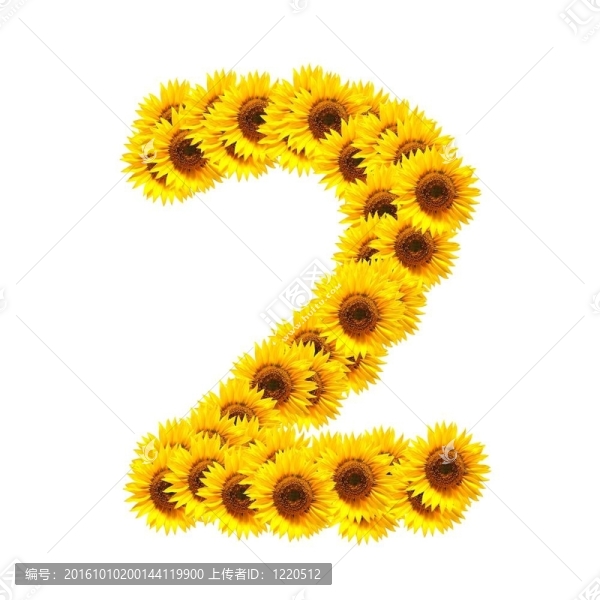 字母的花