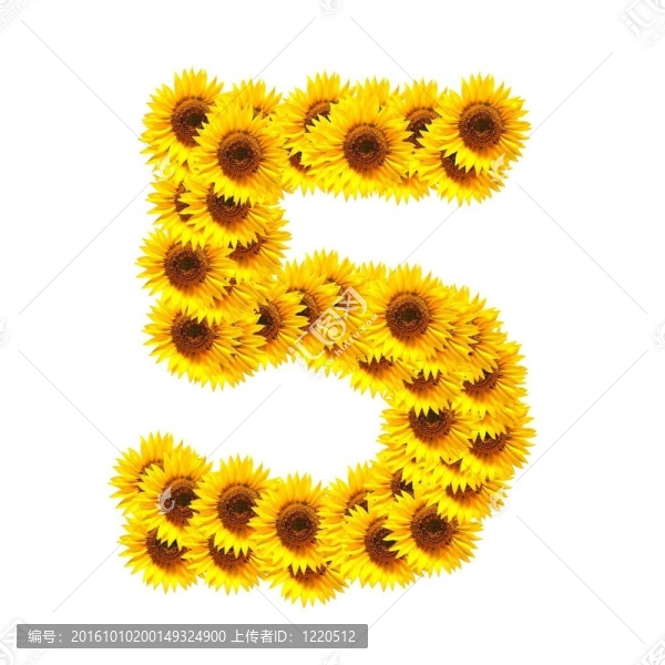 字母的花