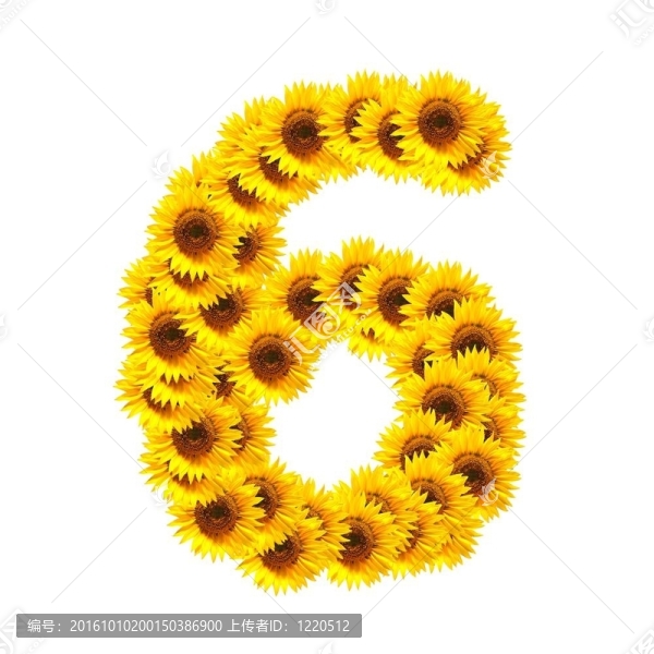 字母的花