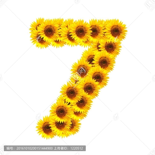 字母的花
