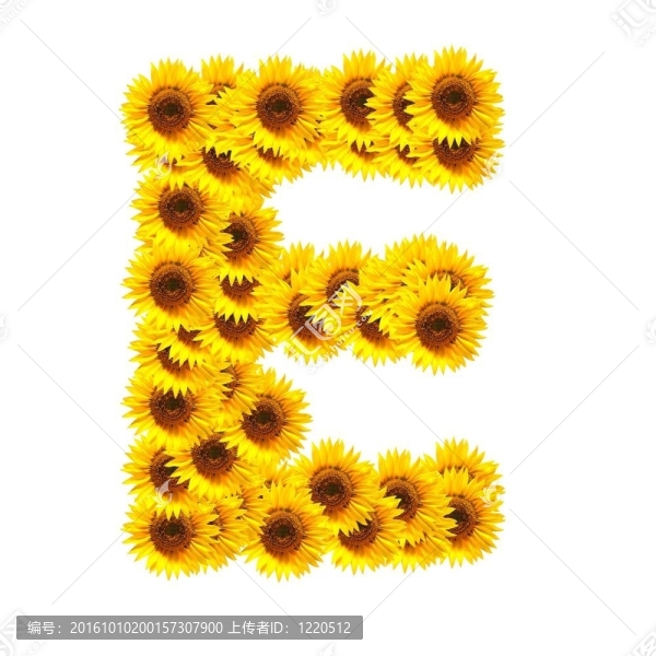 字母的花
