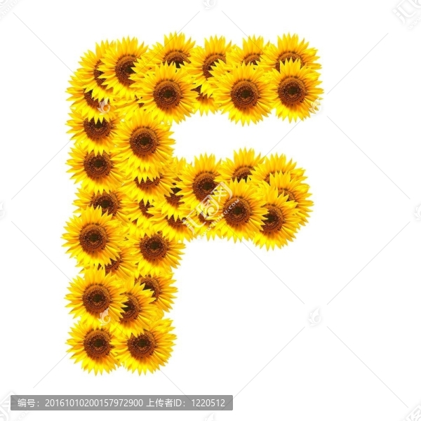 字母的花