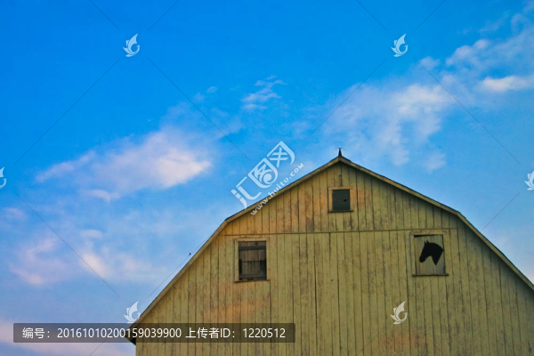 老馬的谷倉