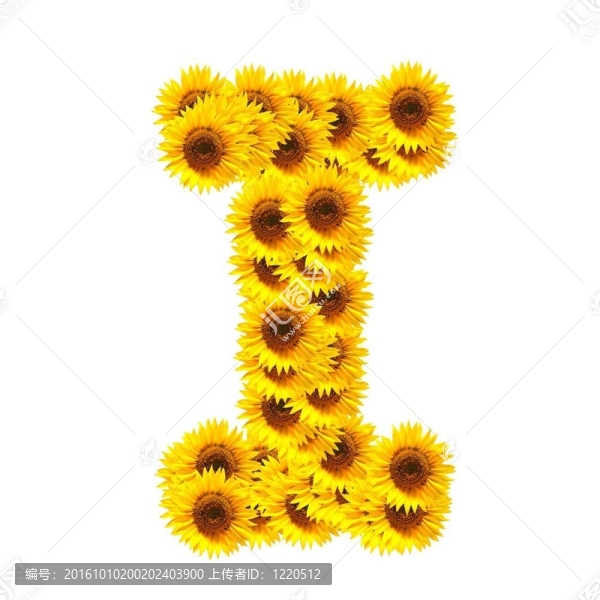 字母的花