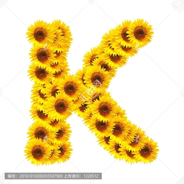 字母的花