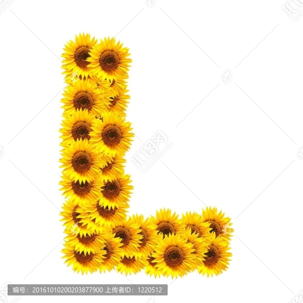 字母的花