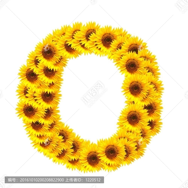 字母的花