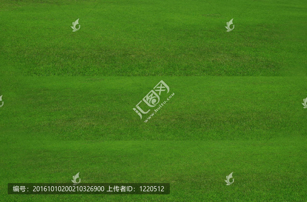 草