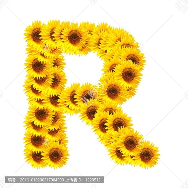 字母的花