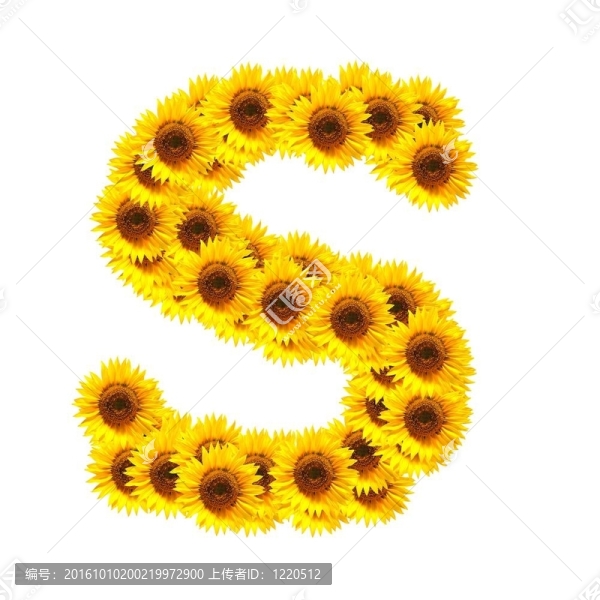 字母的花