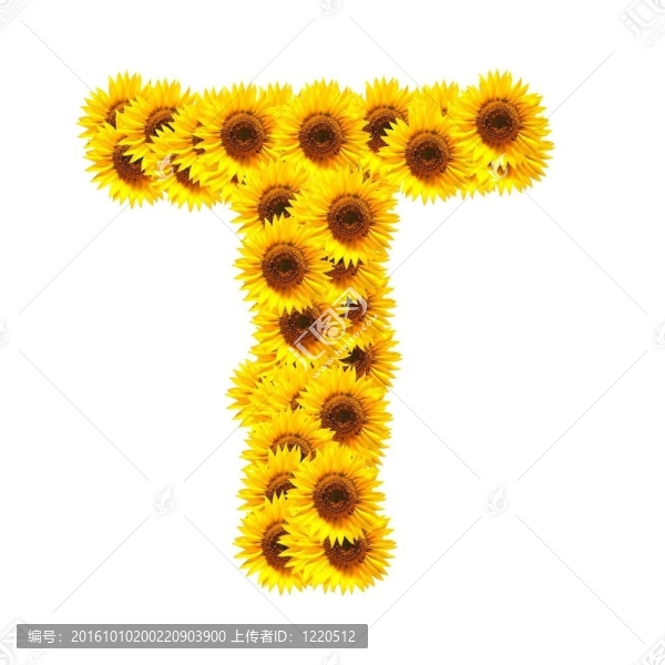 字母的花