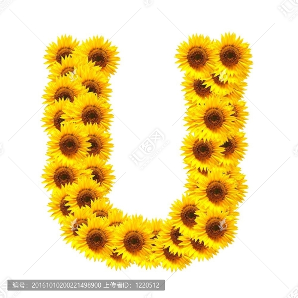 字母的花