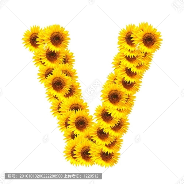 字母的花