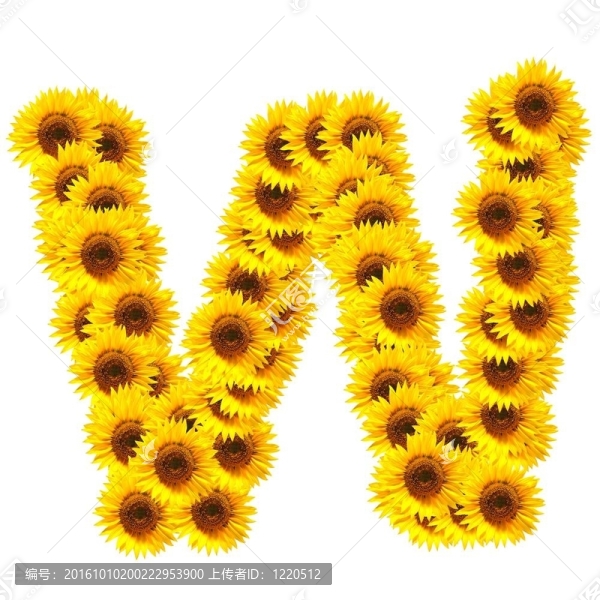 字母的花
