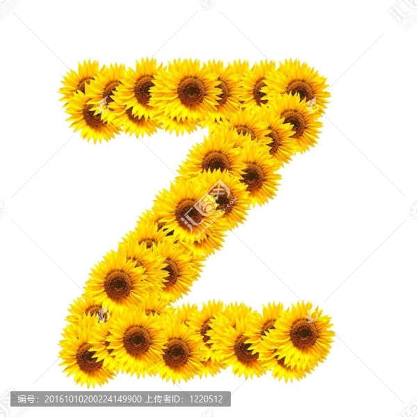 字母的花