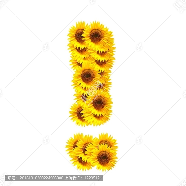 字母的花
