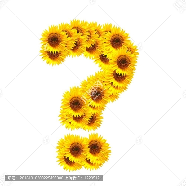 字母的花