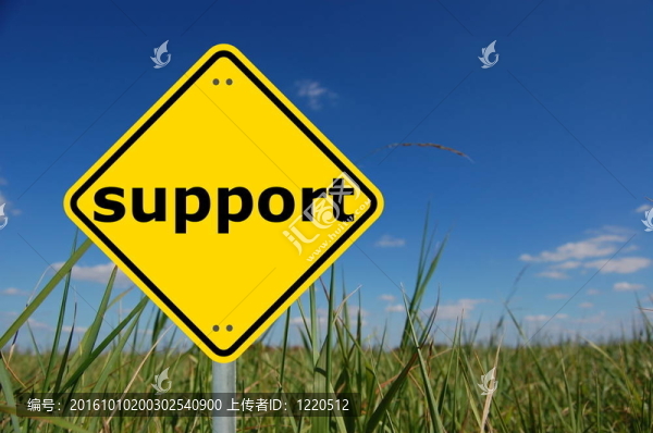 支持的標(biāo)志