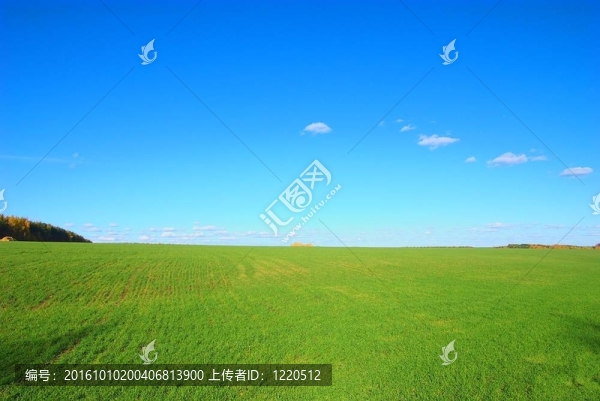 帶堆棧的綠地