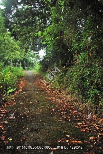 通往光的漫長道路