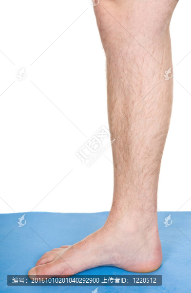 身體的一部分