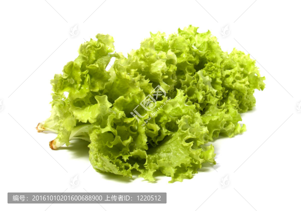 白底萵苣沙拉