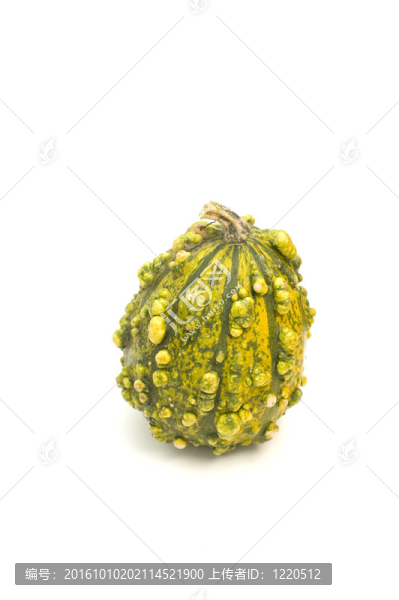 丑陋的南瓜